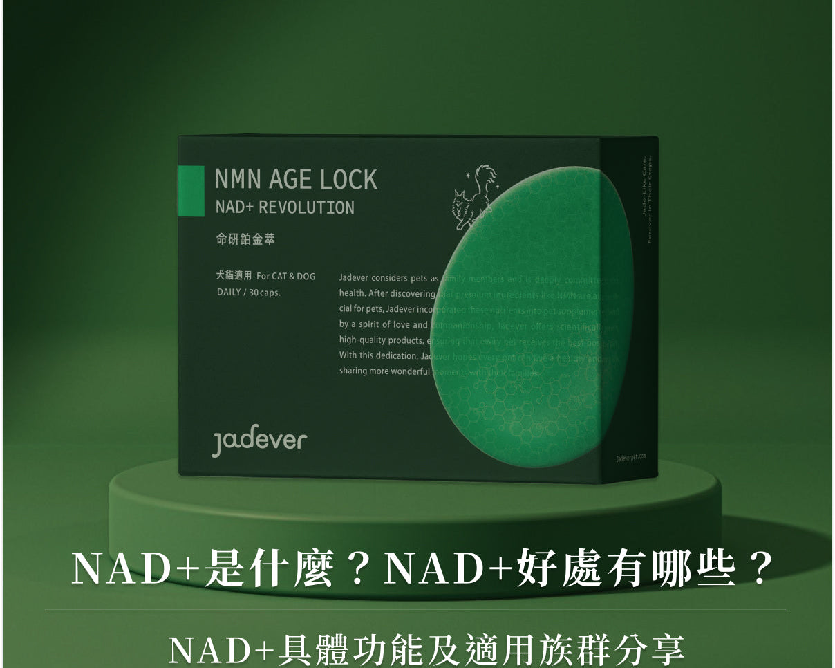 NAD+是什麼？NAD+好處有哪些？NAD+具體功能及適用族群分享