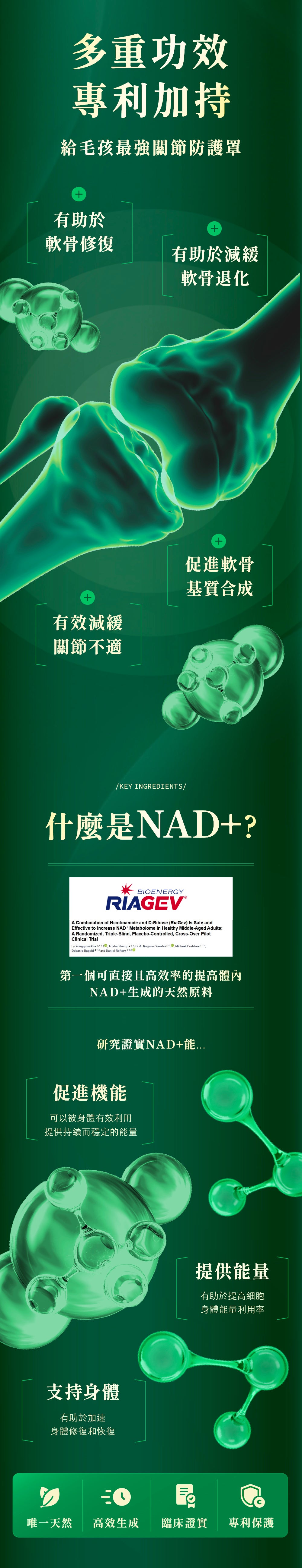 [Jadever] NMN 關節保健+多效保健組合（關節＋鉑金萃）