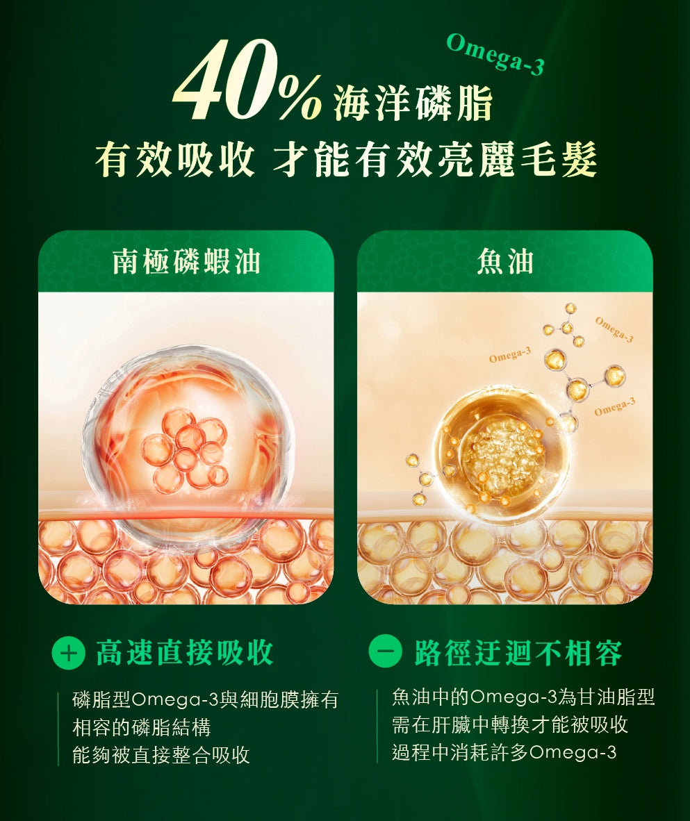 [Jadever] 如碧紅寶磷蝦精萃｜天然磷蝦精華配方、Omega-3 脂肪酸補給