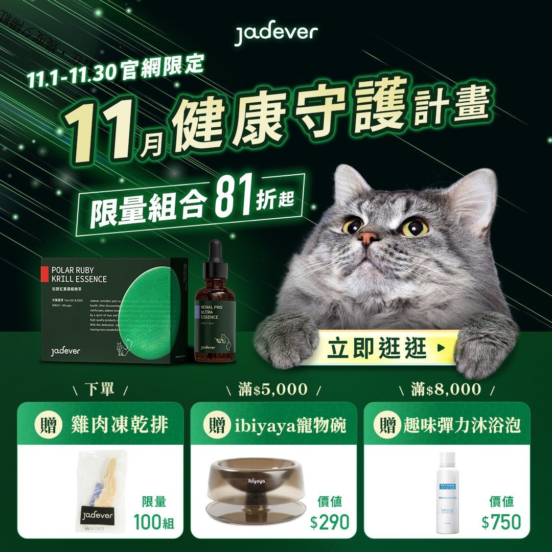 [Jadever] 預購｜護腎超導精華 50ml/瓶 6入組｜預計一月底到貨後，按訂單順序安排寄出