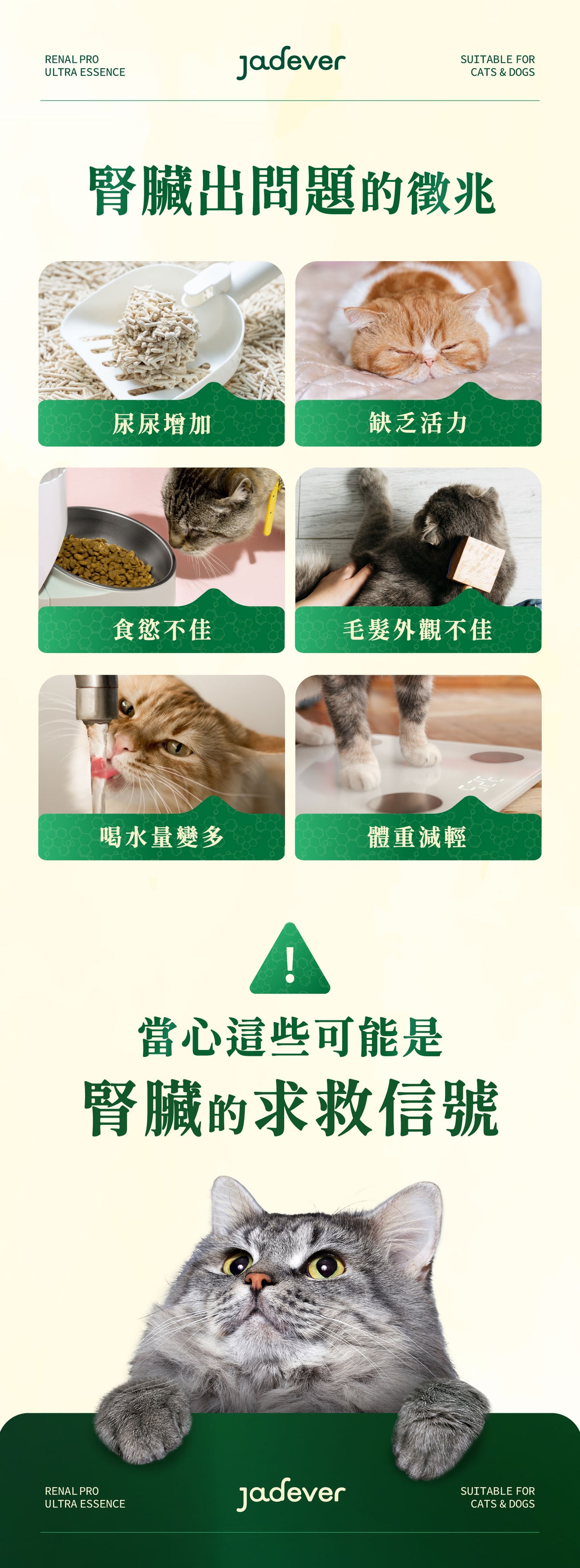 [Jadever] 預購｜護腎超導精華 50ml/瓶 6入組｜預計一月底到貨後，按訂單順序安排寄出