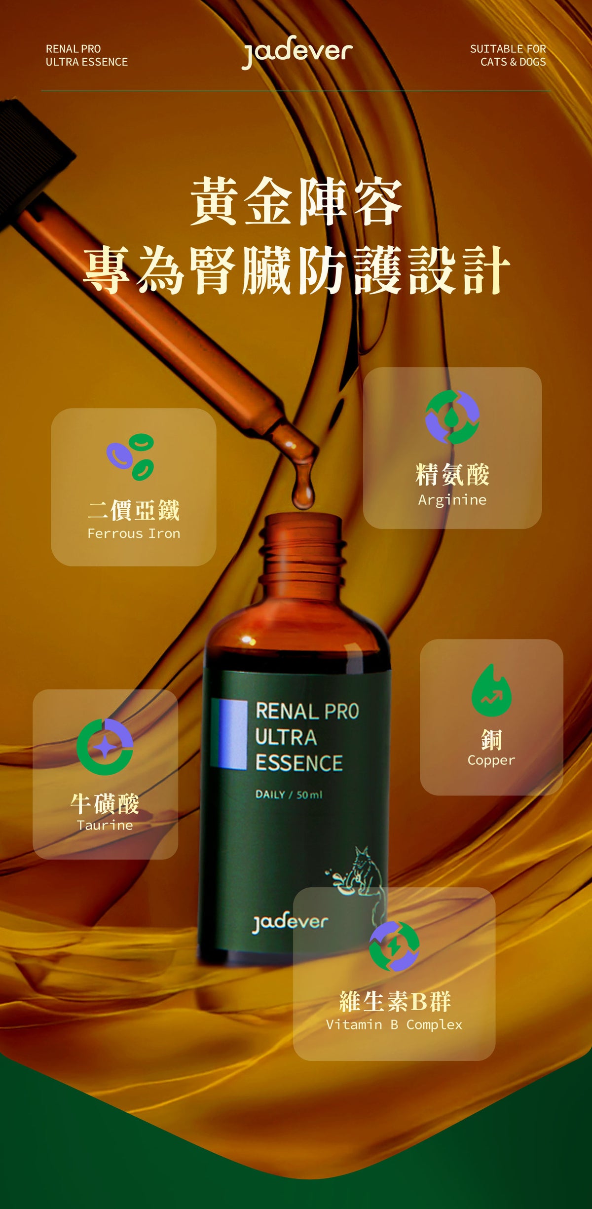 [Jadever] 預購｜護腎超導精華 50ml/瓶 6入組｜預計一月底到貨後，按訂單順序安排寄出