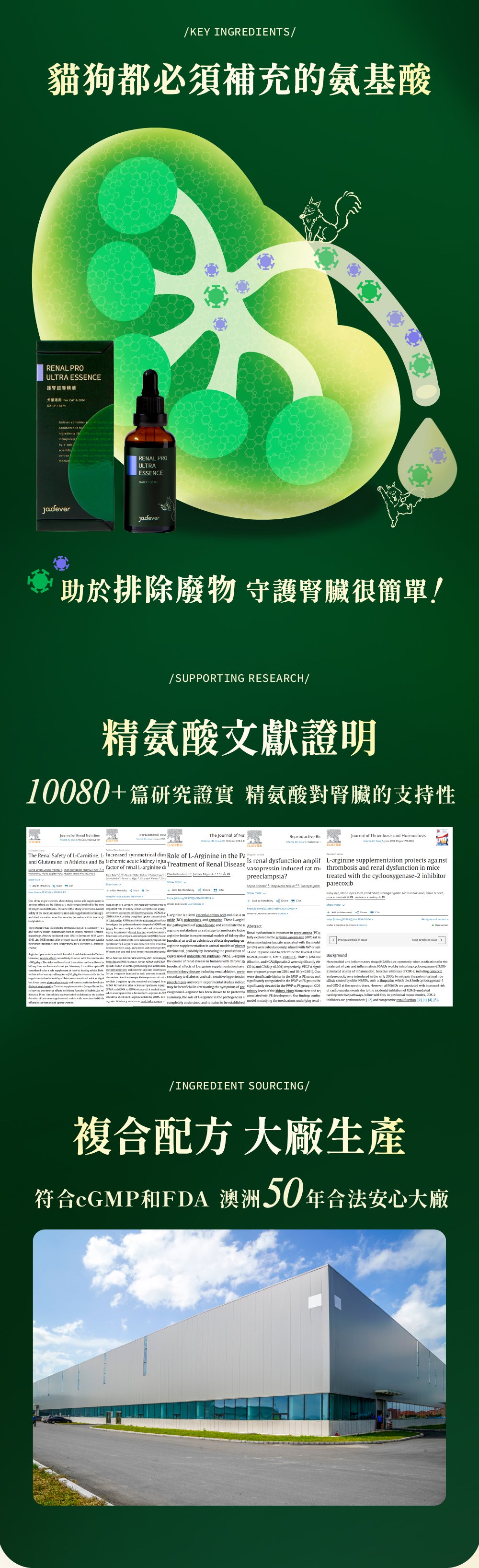 [Jadever] 預購｜護腎超導精華 50ml / 瓶｜預計一月底到貨後，按訂單順序安排寄出