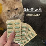 [Jadever] NMN 關節保健+多效保健組合（關節＋鉑金萃）